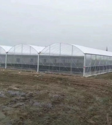 玻璃溫室的優點有哪些？