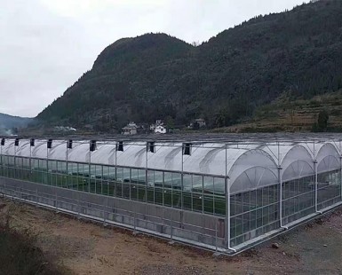 薄膜連棟溫室