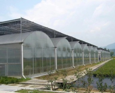 連棟薄膜溫室