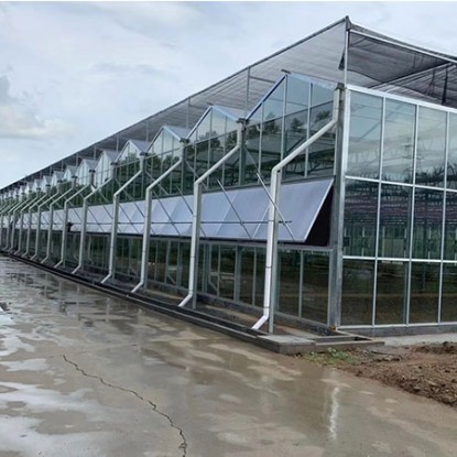 玻璃大棚