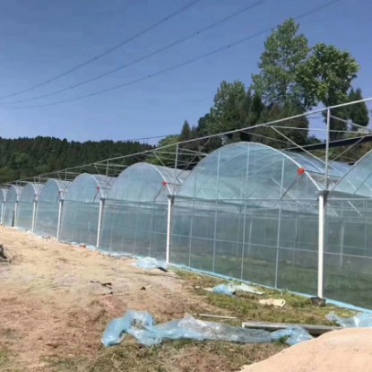 連棟薄膜溫室
